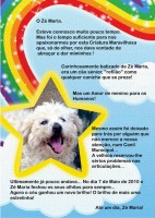 /album/estrelinhas-no-ceu/ze-maria-jpg/